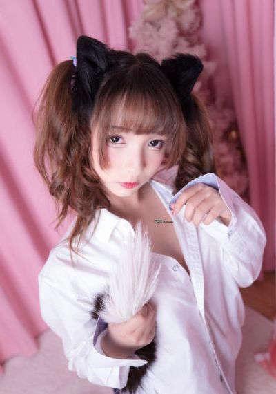狃花女电视剧免费全集