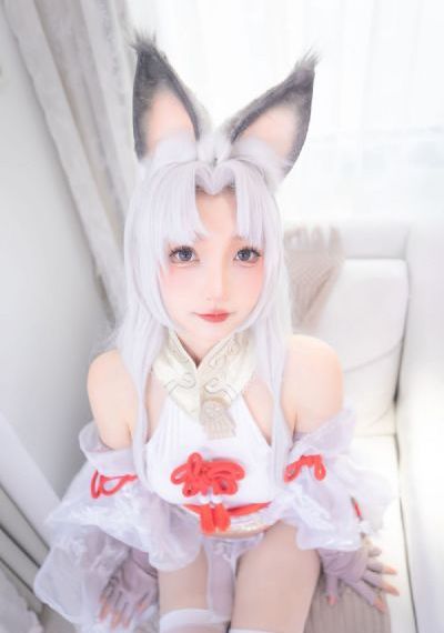 绝命毒师第四季