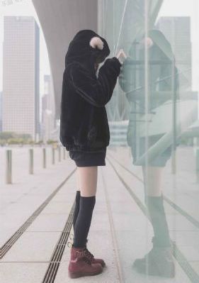 《疯狂动物城》