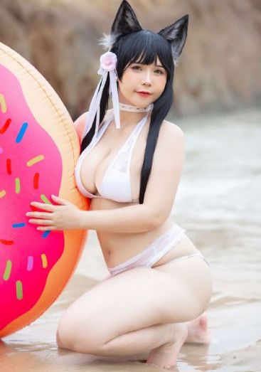 食物链完整版